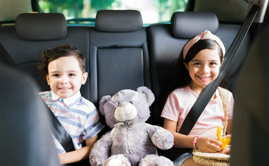 Silicone Seat Belt Buckle Retainer 2pc