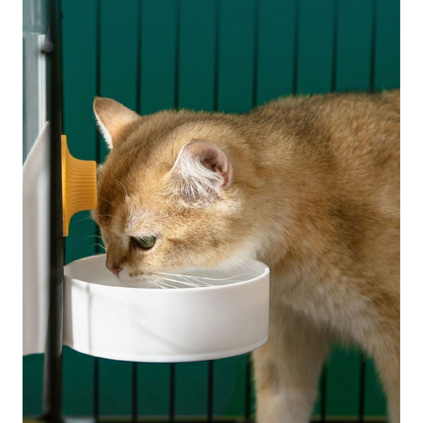 Pet Automatic Water Food Feeder Set Pet Cage Suspended Water Dispenser - White