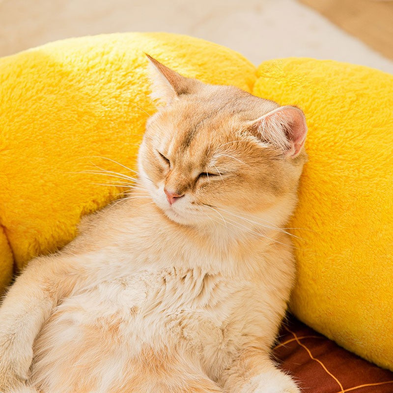 Dog Cat Bed - Sunflower