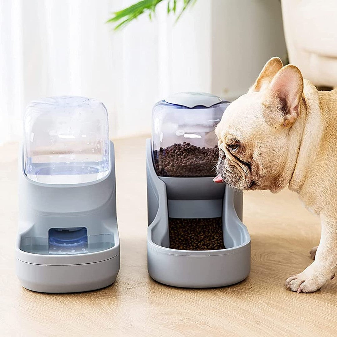 Pet Food Feeder Water Dispenser Food Feeder Set Gray