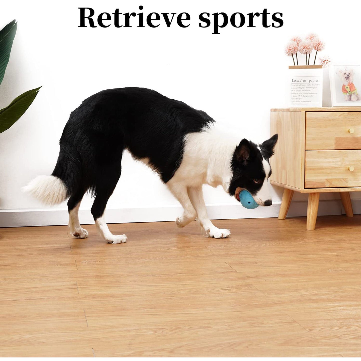 Dog Chew Toy Teeth Cleaning Ball