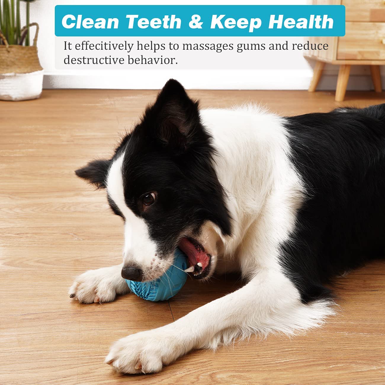 Dog Chew Toy Teeth Cleaning Ball
