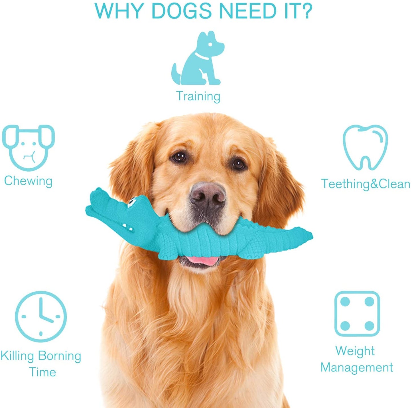 Dog Chew Toy Crocodile