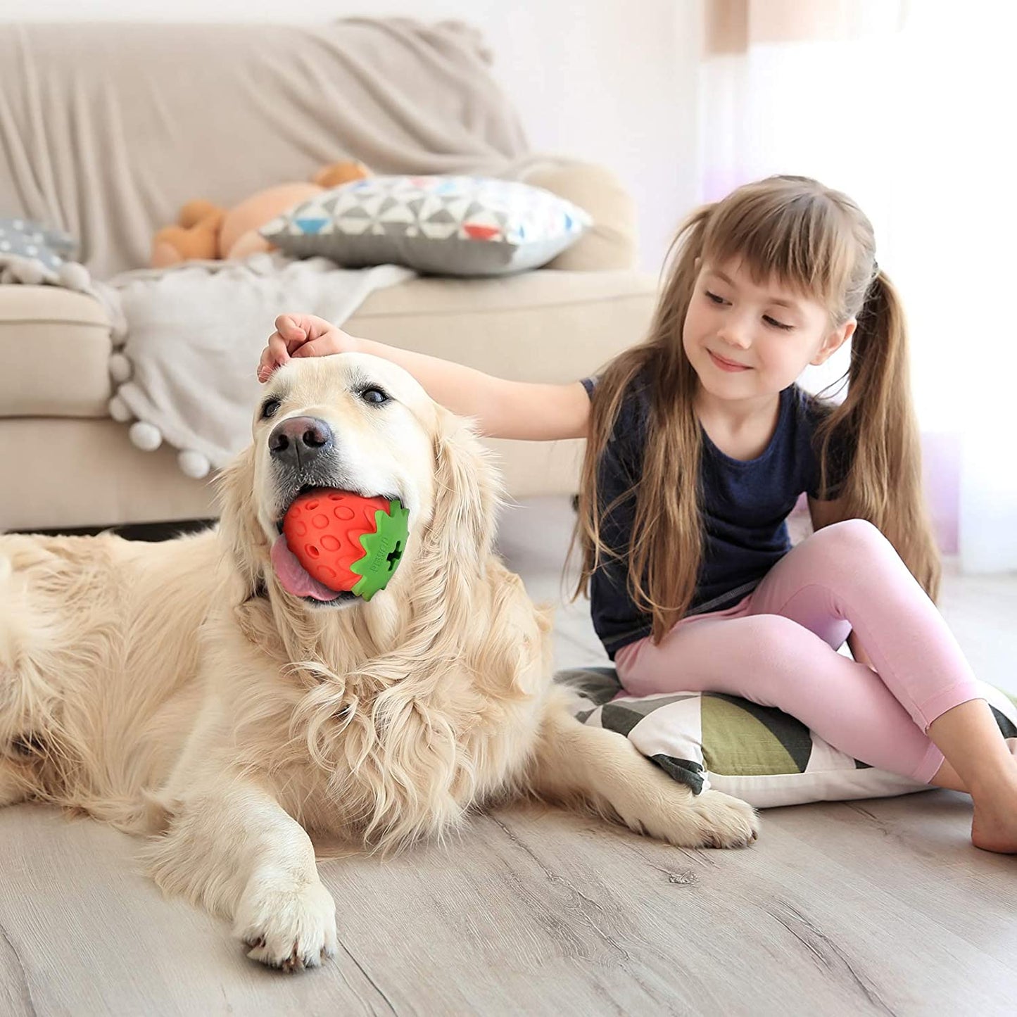 Dog Treat Toy Strawberry