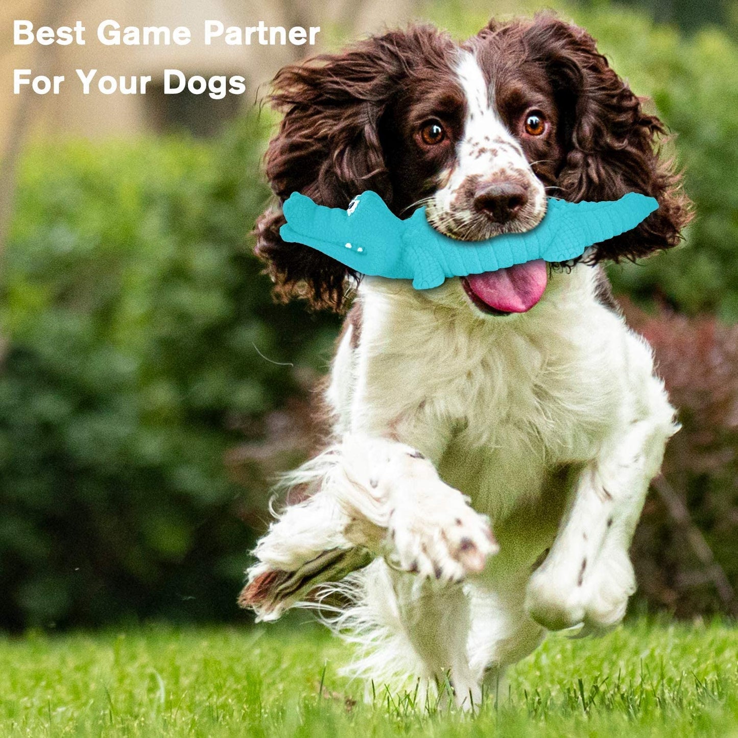 Dog Chew Toy Crocodile