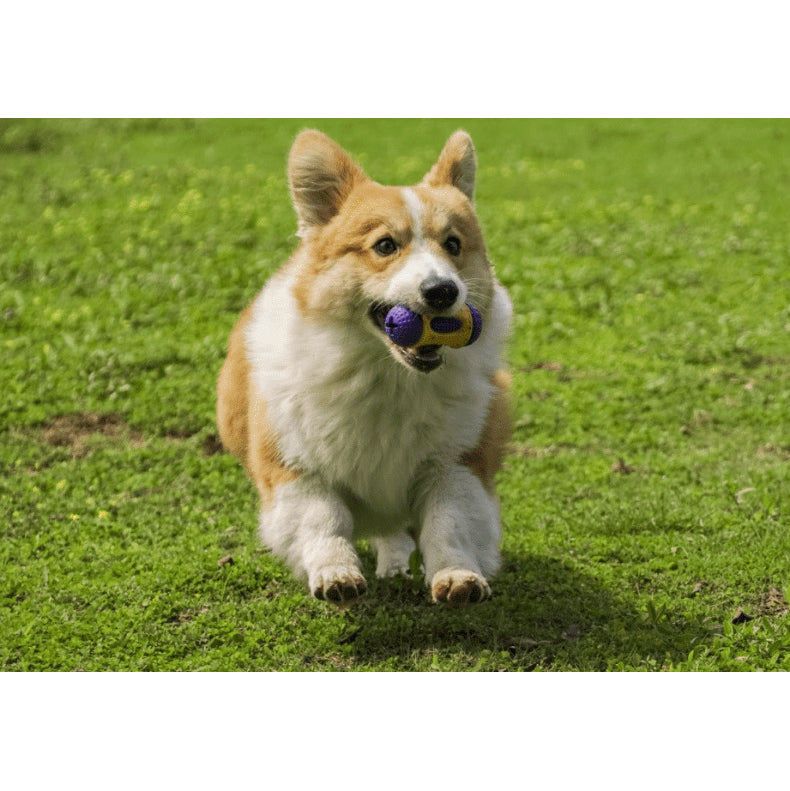 Chewing Molars Dog Toys Interactive Dog Toys Snack Dispensers