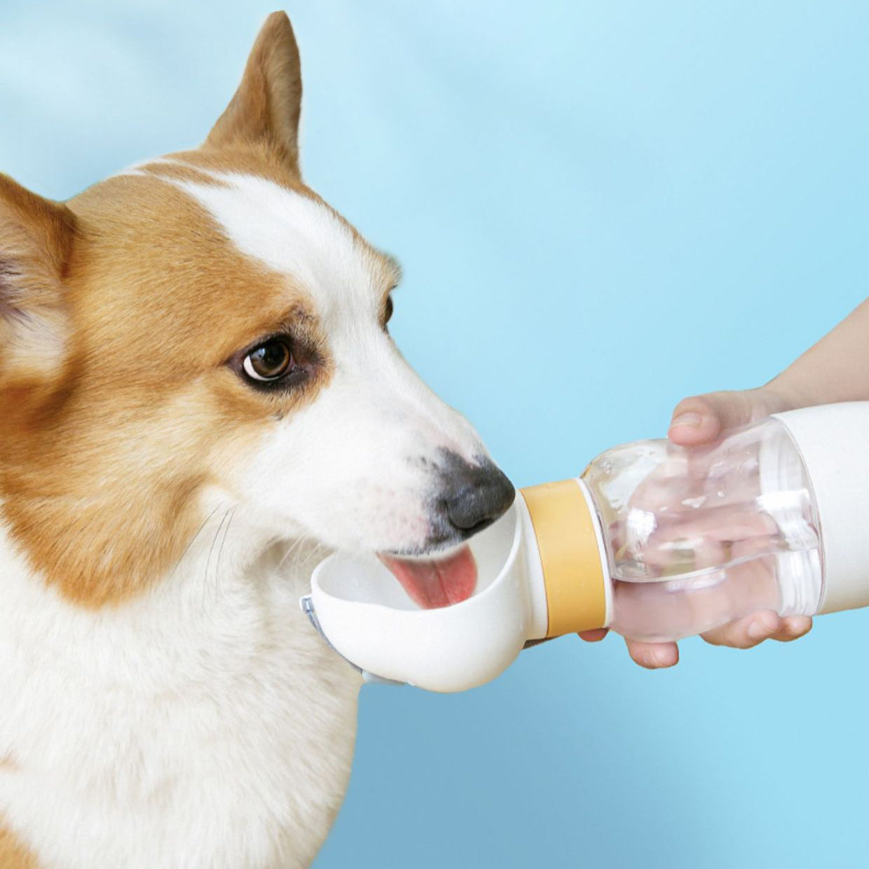 Pet travel water food feeder white