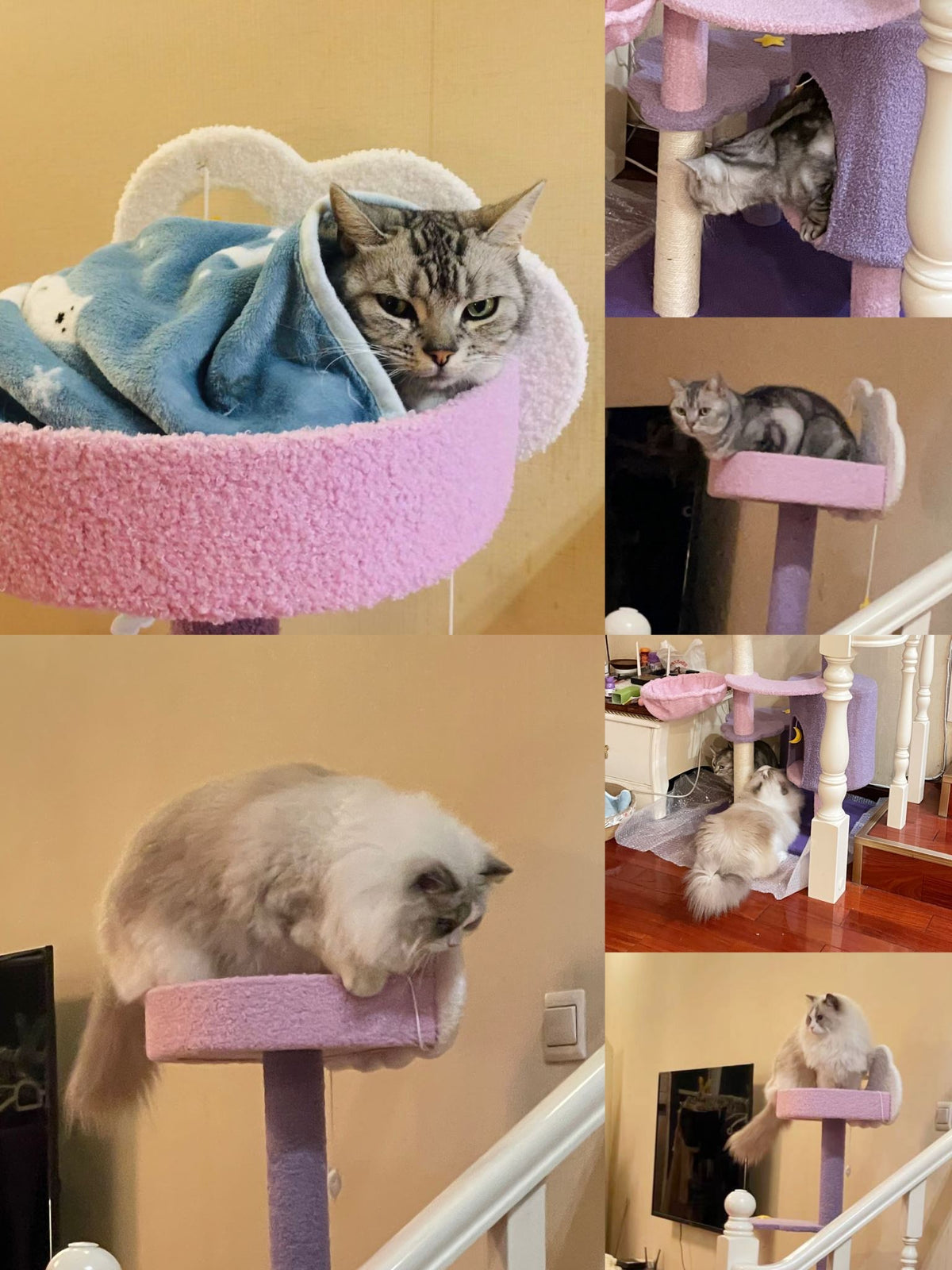 Cat Tree Kitten Furniture Condo Scratching Post Scratcher Multi-Level Cloud 108cm