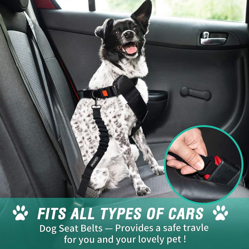 2Pcs Dog Car Safety Set Retractable Leash, Adjustable Harness, Nylon Seat Belt,