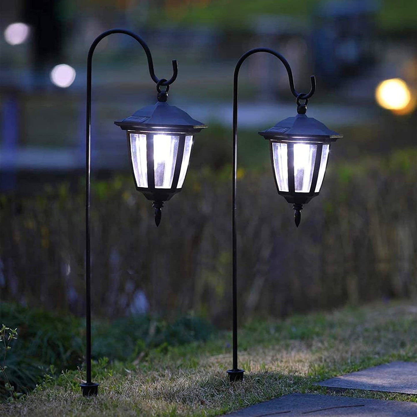 SOLAR LIGHT DECORATION LIGHT - FLOOT 2 Pack