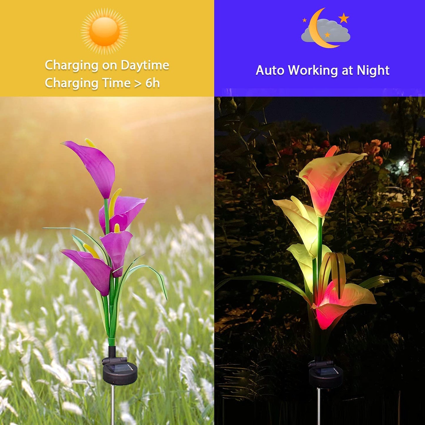 Outdoor Solar Garden  Lights Calla Lily (2 Pack)- Purple