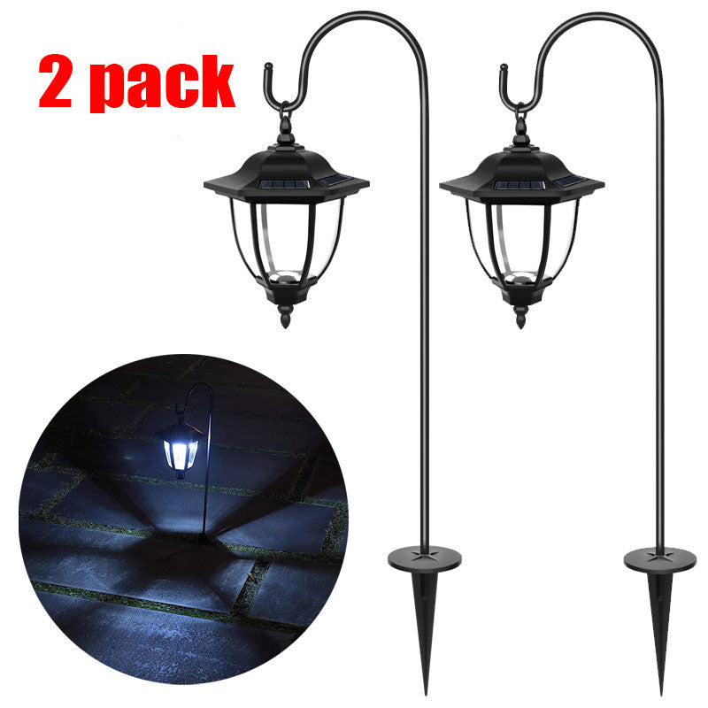 SOLAR LIGHT DECORATION LIGHT - FLOOT 2 Pack