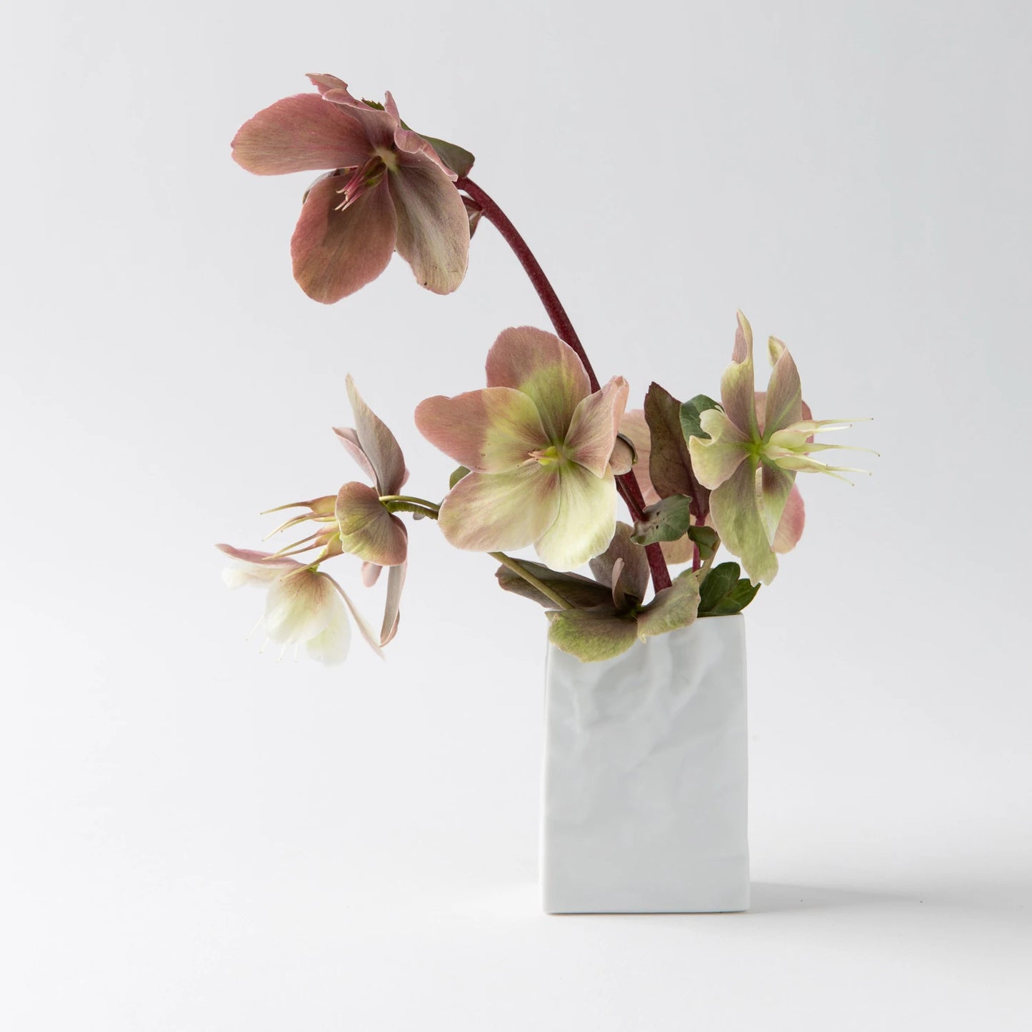 [Made in Japan] Ceramic Japan New Crinkle Super Bag —— Designer | Makoto Komatsu